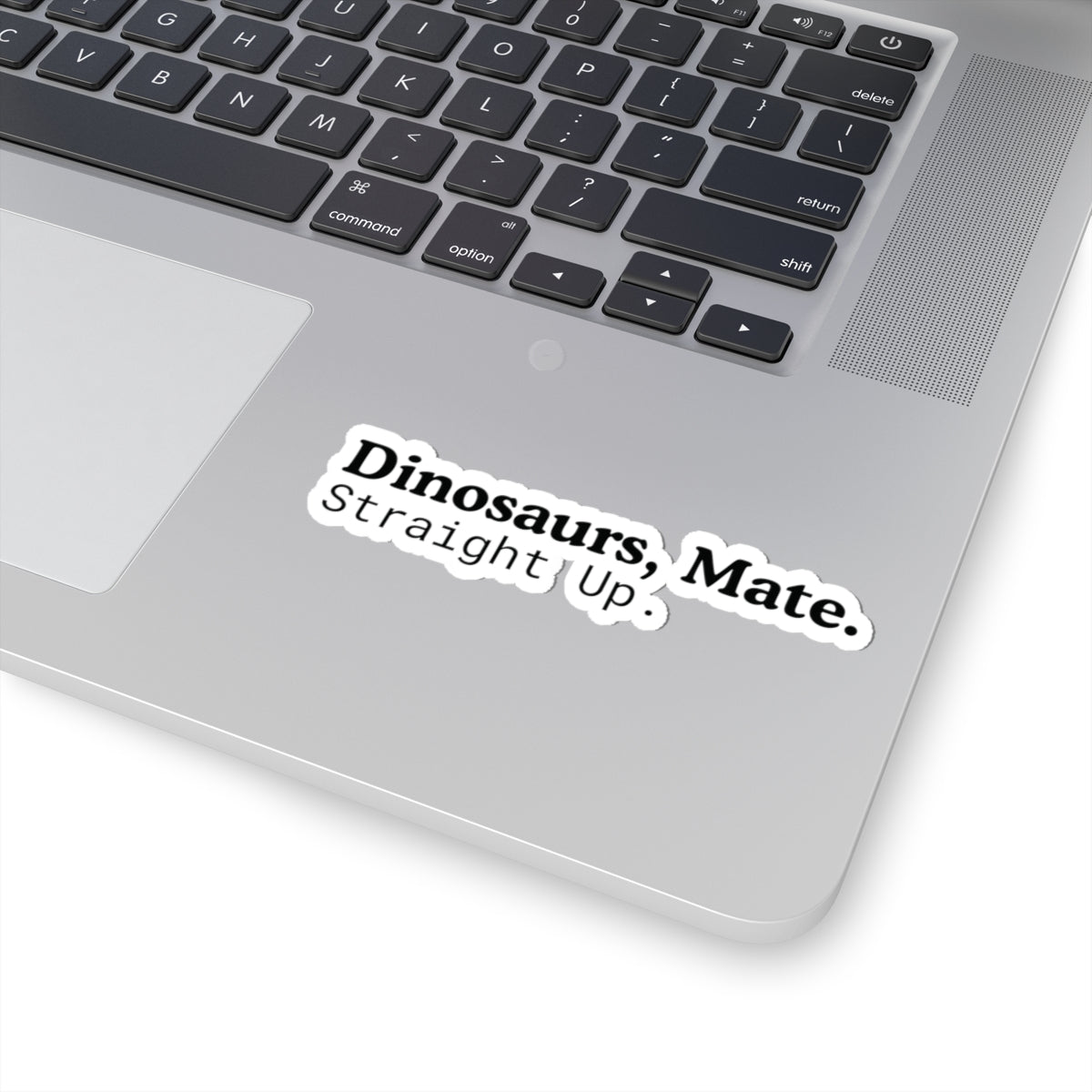 Dinosaurs, Mate. Straight Up. Vinyl Sticker | Liam Payne Quote