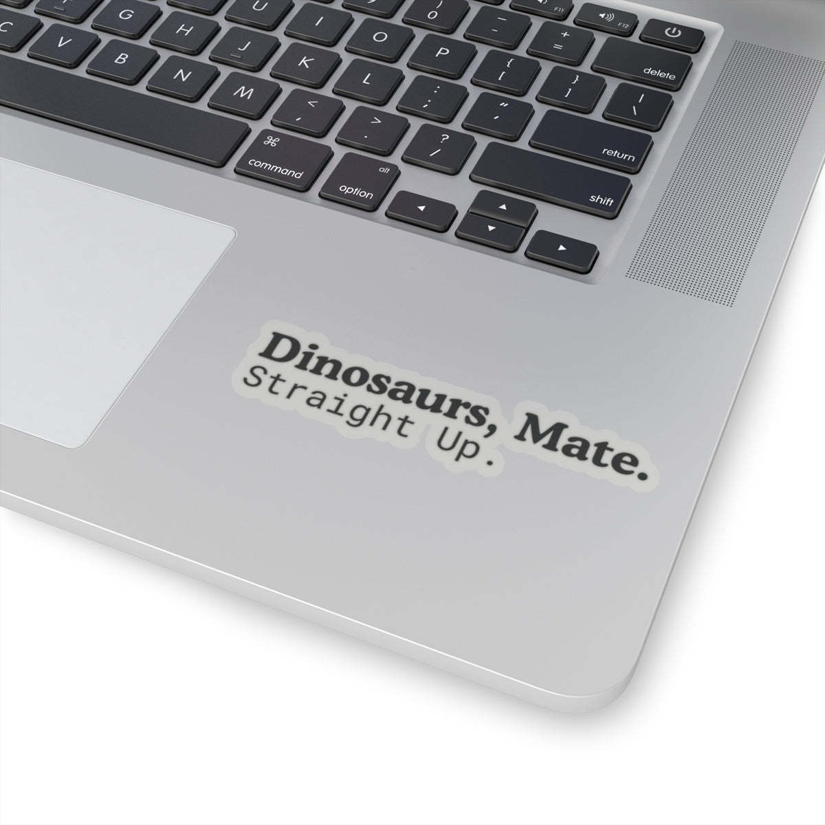 Dinosaurs, Mate. Straight Up. Vinyl Sticker | Liam Payne Quote