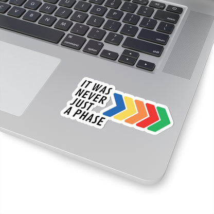 It Was Never Just a Phase Vinyl Sticker | One Direction Inspired