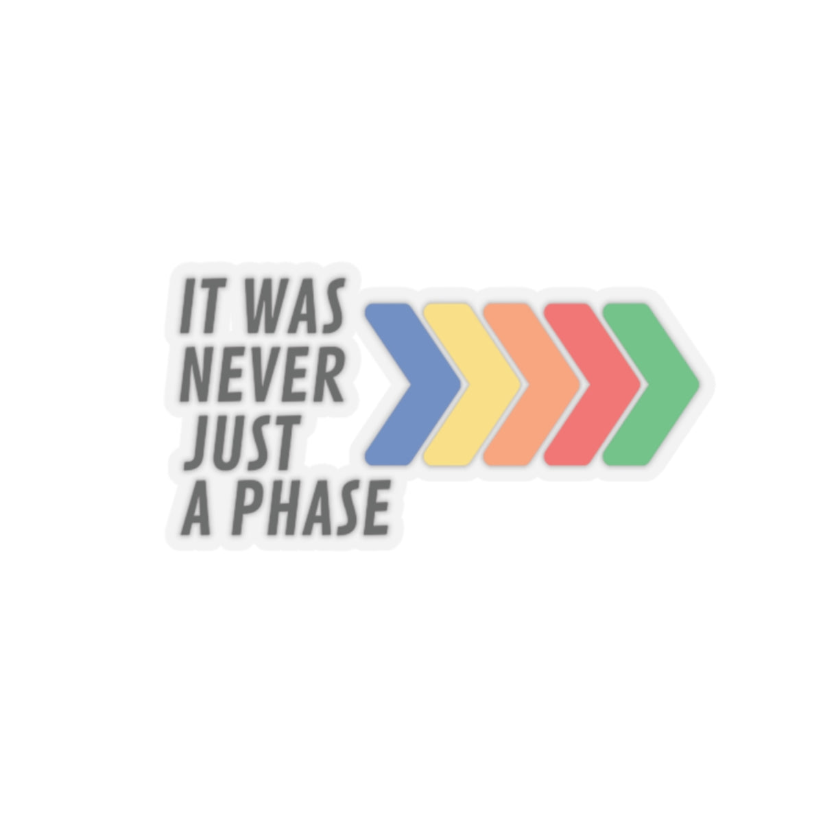 It Was Never Just a Phase Vinyl Sticker | One Direction Inspired