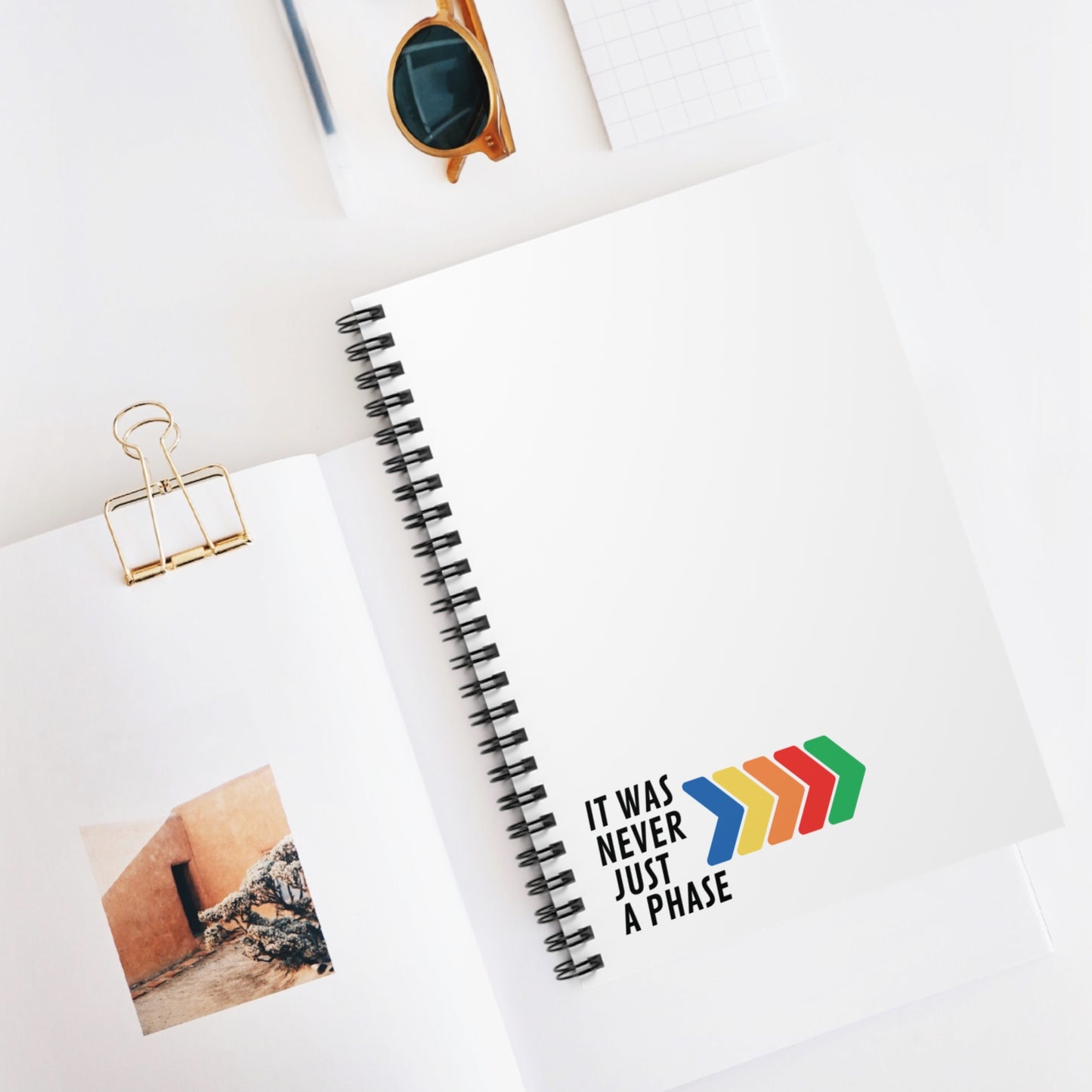 It Was Never Just a Phase Notebook