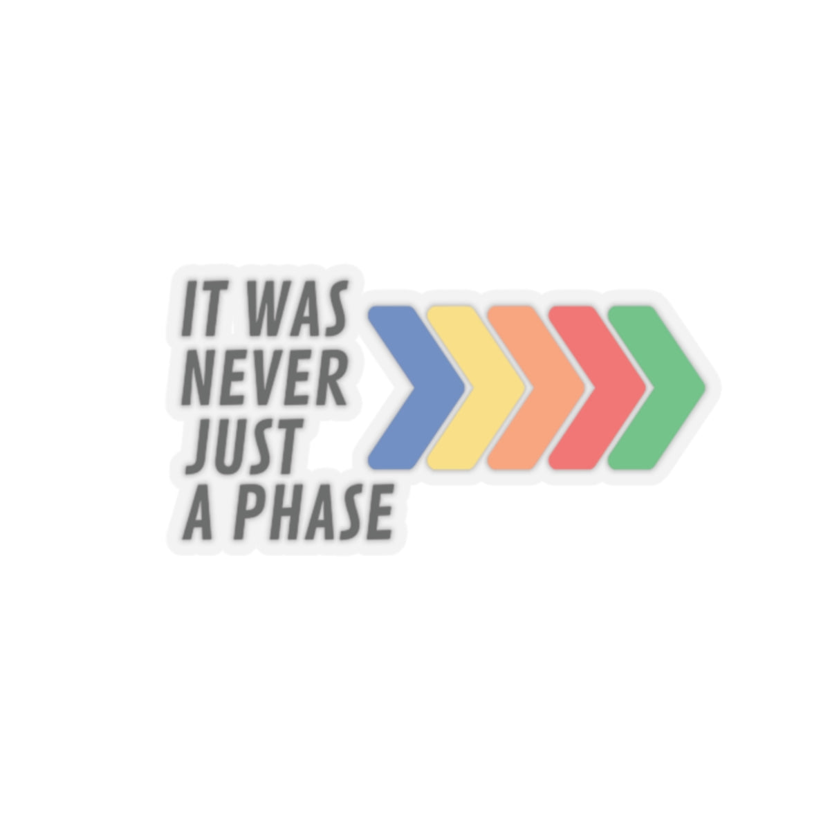 It Was Never Just a Phase Vinyl Sticker | One Direction Inspired