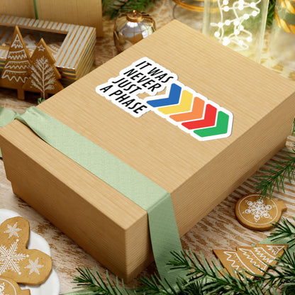 It Was Never Just a Phase Vinyl Sticker | One Direction Inspired