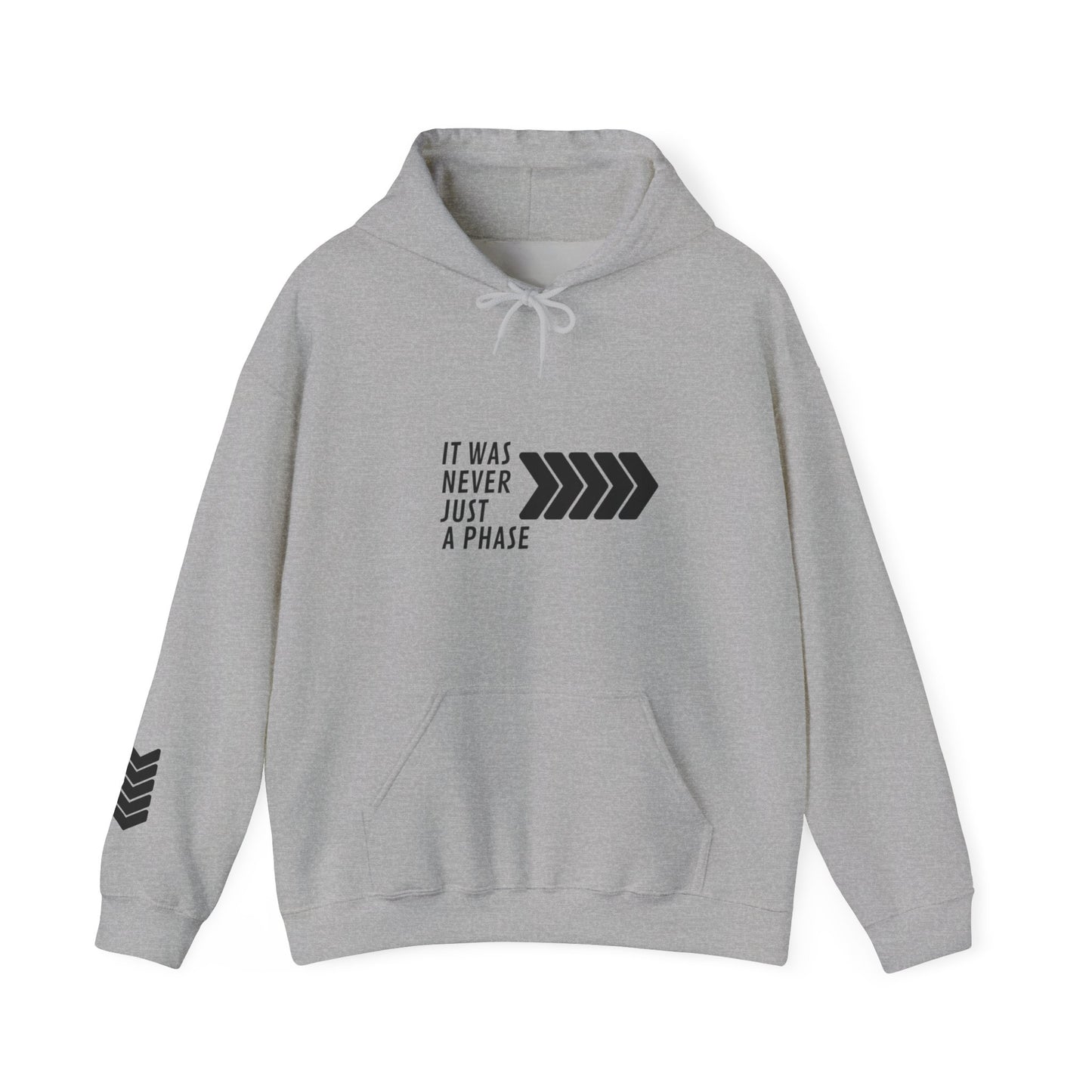 It Was Never Just a Phase Hoodie | One Direction Fan Merch