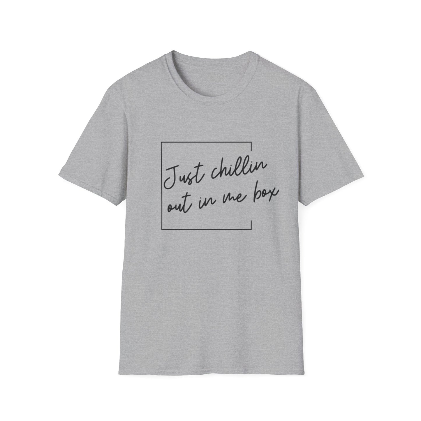Just Chillin Out In Me Box T-Shirt | Niall Horan Quote