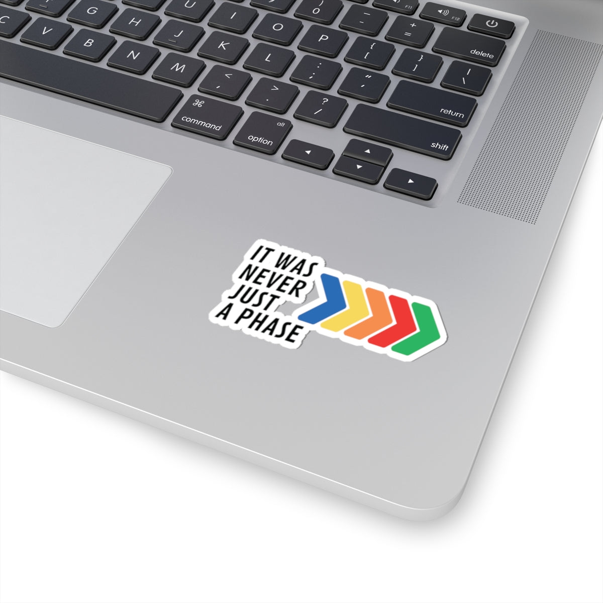 It Was Never Just a Phase Vinyl Sticker | One Direction Inspired