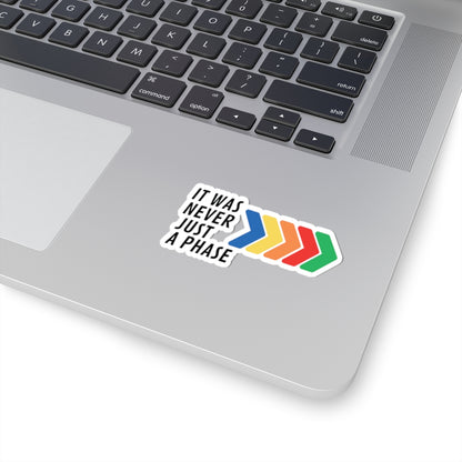 It Was Never Just a Phase Vinyl Sticker | One Direction Inspired